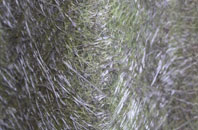 Stockton fibreglass roof work