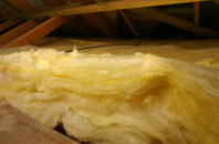 Stockton pitch roof insulation